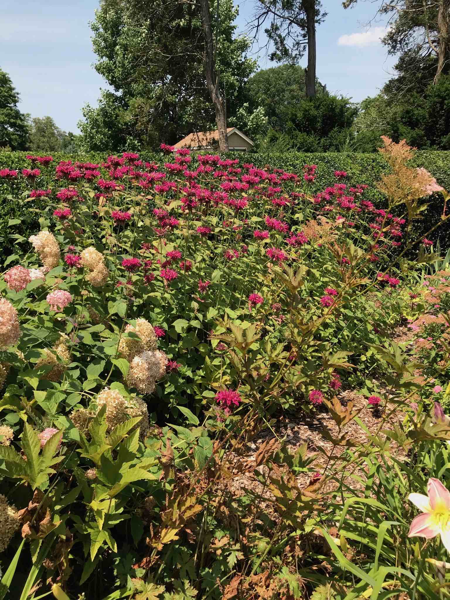 Home Port Washington Garden Club At Pwpl Ny